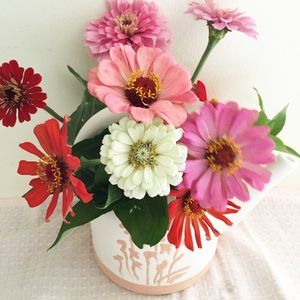 Meet your Posher, Giuliana